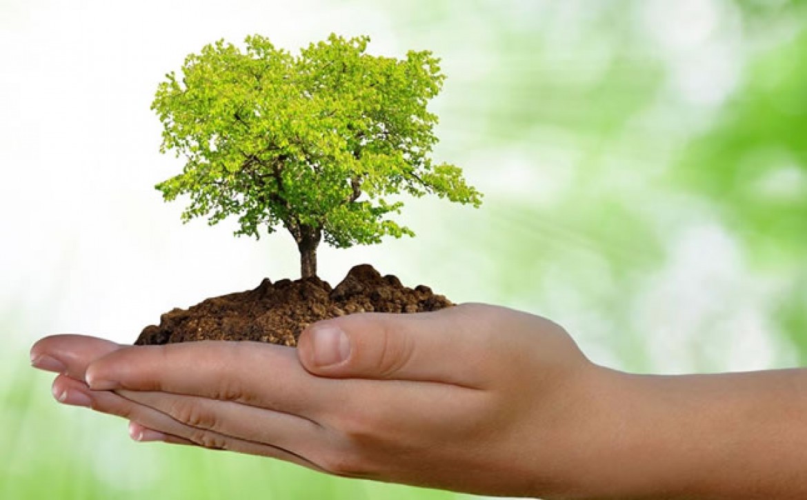 MEIO-AMBIENTE-shutterstock_93568675-meio-ambiente-ESSE-66tdww3ecp29yq5xwodql9yovbvln5evjzjg1c8315a