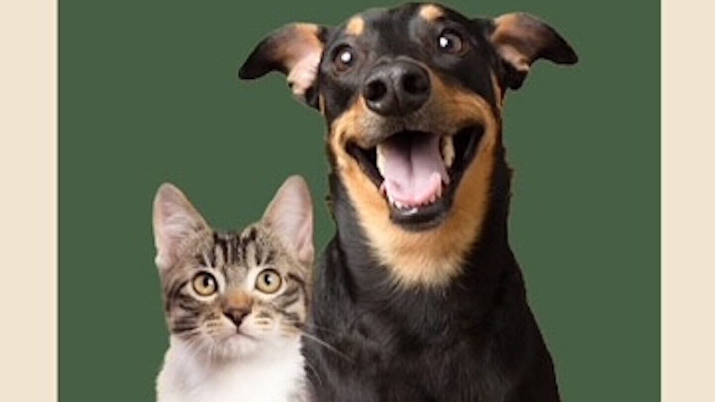 SPH-ADOCAO-PET-BANNER-MOB-414x736px (1)